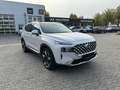 Hyundai SANTA FE 2.2 CRDi Prime 2xKlima 360 4xSHZ Blanc - thumbnail 2