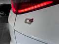 Alfa Romeo Stelvio 2.2 t Business Q4 190cv auto - thumbnail 5