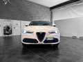 Alfa Romeo Stelvio 2.2 t Business Q4 190cv auto - thumbnail 2