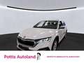Skoda Octavia Combi 2.0 TDI DSG 4x4 SCOUT AHK NAVI HuD Weiß - thumbnail 1