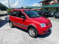 Fiat Panda 1.3 mjt 16v Climbing 4x4 75cv my12 Rosso - thumbnail 3