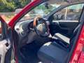 Fiat Panda 1.3 mjt 16v Climbing 4x4 75cv my12 Rosso - thumbnail 7
