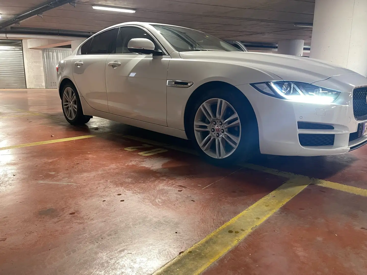 Jaguar XE 2.0d Prestige Business edition 180cv auto Bianco - 1