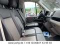 Volkswagen Crafter Kasten MR hoch NAVI/STANDHZ/LEDER/AHK Weiß - thumbnail 3