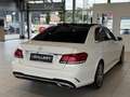 Mercedes-Benz E 220 CDI Elegance A-Edition Plus Aut.*AMG-Line*Panor... Weiß - thumbnail 5