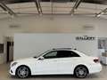 Mercedes-Benz E 220 CDI Elegance A-Edition Plus Aut.*AMG-Line*Panor... Weiß - thumbnail 1