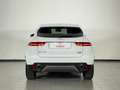 Jaguar E-Pace 2.0D 150 CV AWD S Bianco - thumbnail 7