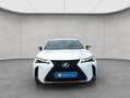 Lexus 300h F-Sport Design Blanc - thumbnail 5