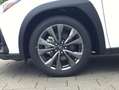Lexus 300h F-Sport Design Blanc - thumbnail 12