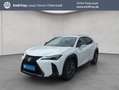 Lexus 300h F-Sport Design Blanc - thumbnail 1