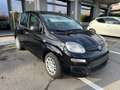 Fiat Panda Pandina 1.0 firefly hybrid s Schwarz - thumbnail 3