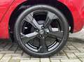 Nissan Micra 100PK IG-T N-Sport CARPLAY+17INCH+KEYLESS ENTRY Rot - thumbnail 18