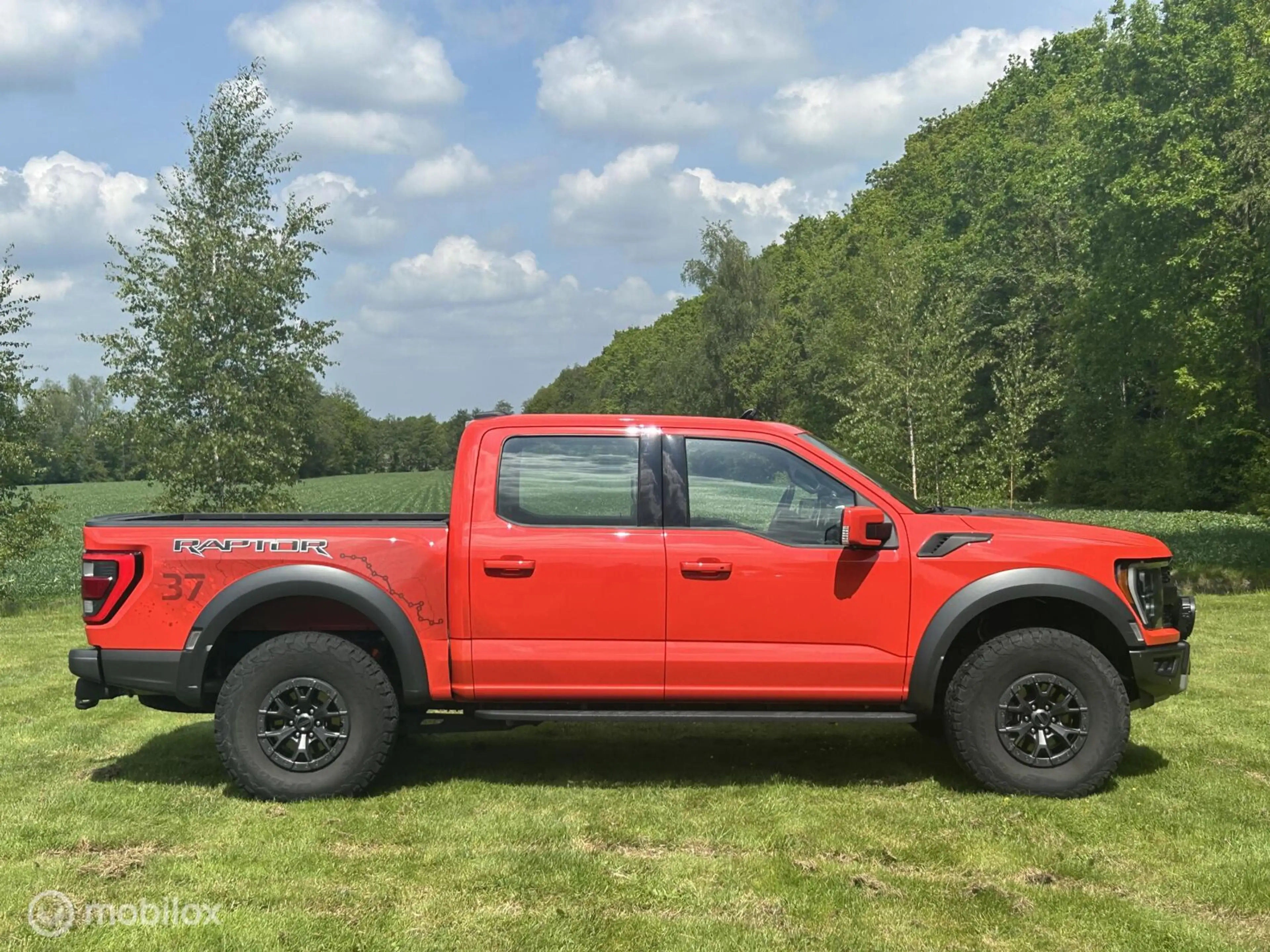 Ford F 150 USA Raptor — photo 2