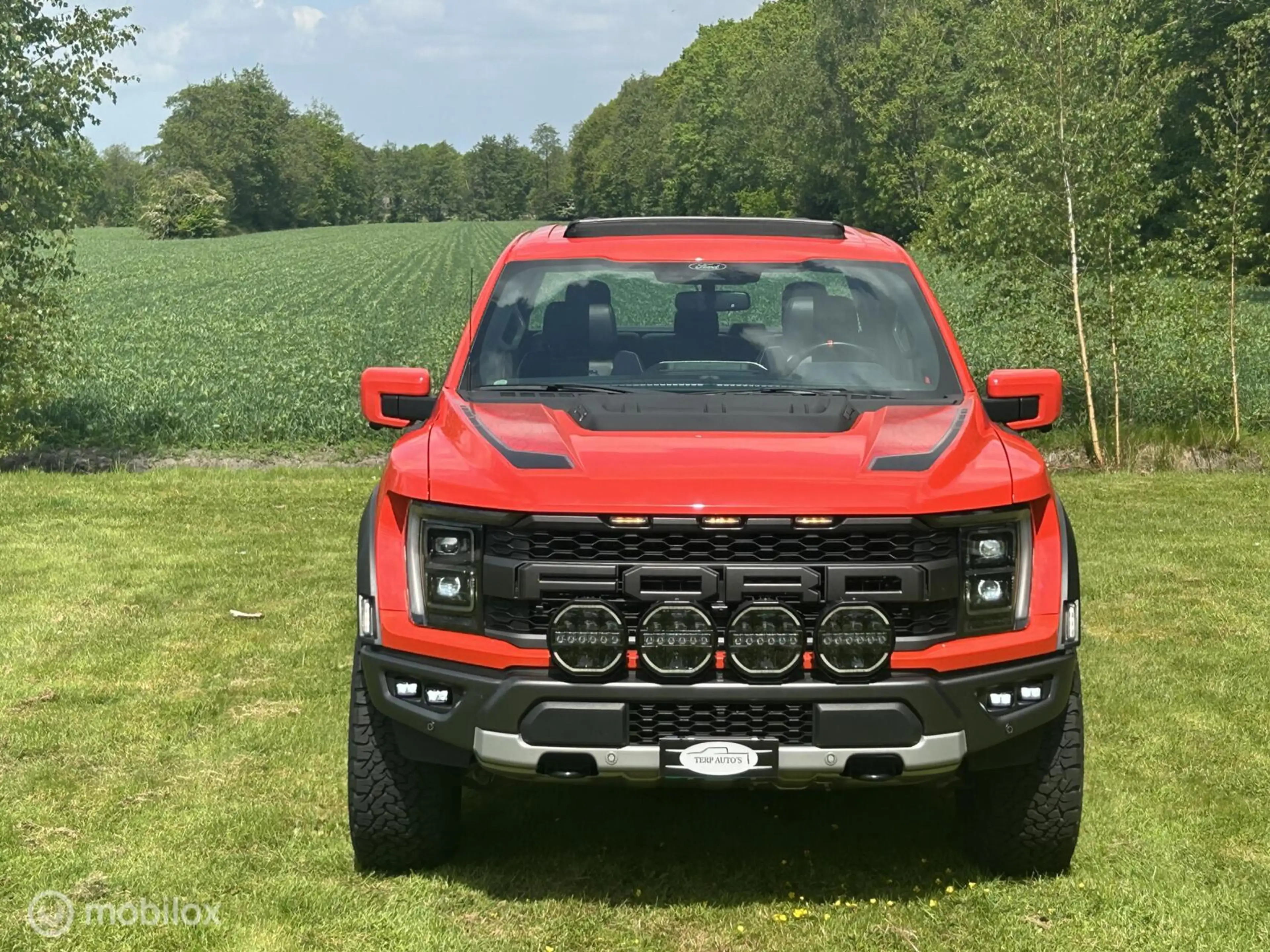 Ford F 150 USA Raptor — photo 12