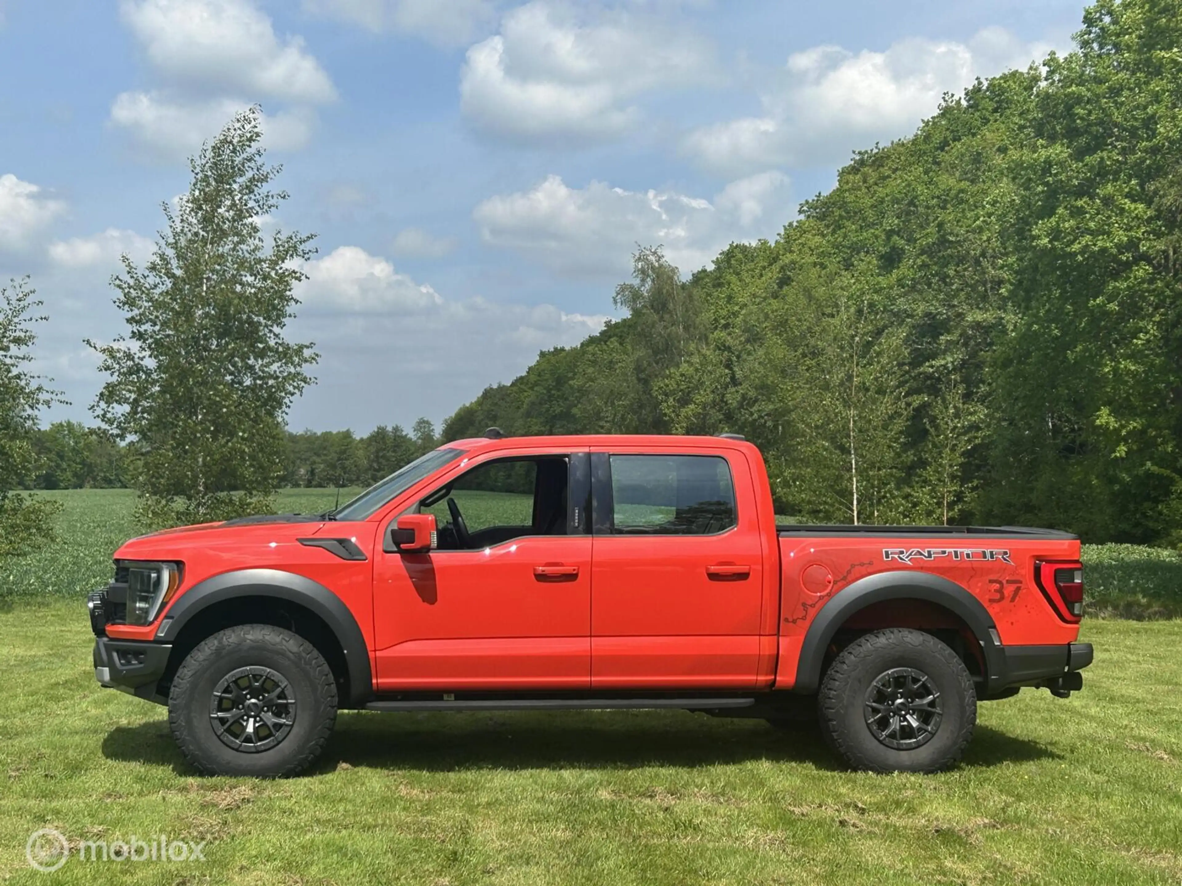 Ford F 150 USA Raptor — photo 4