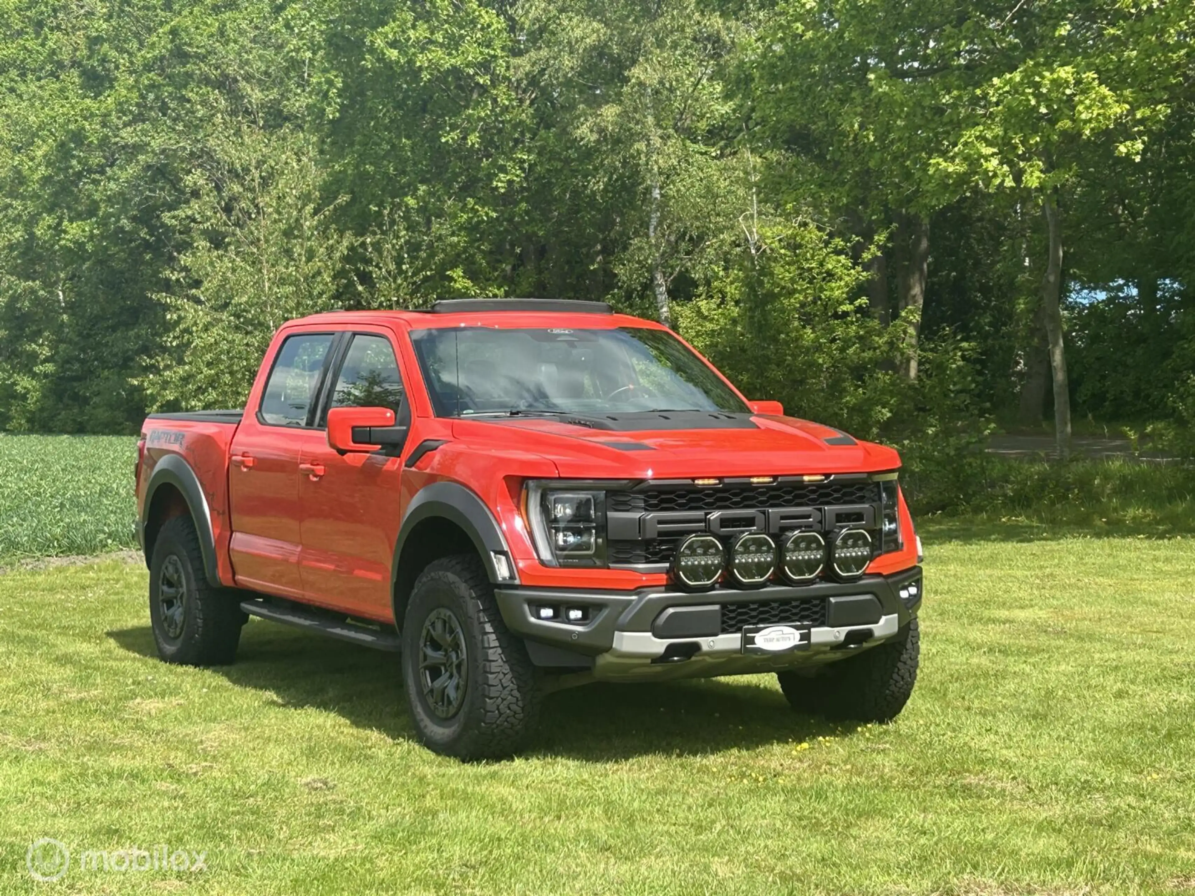 Ford F 150 USA Raptor — photo 7
