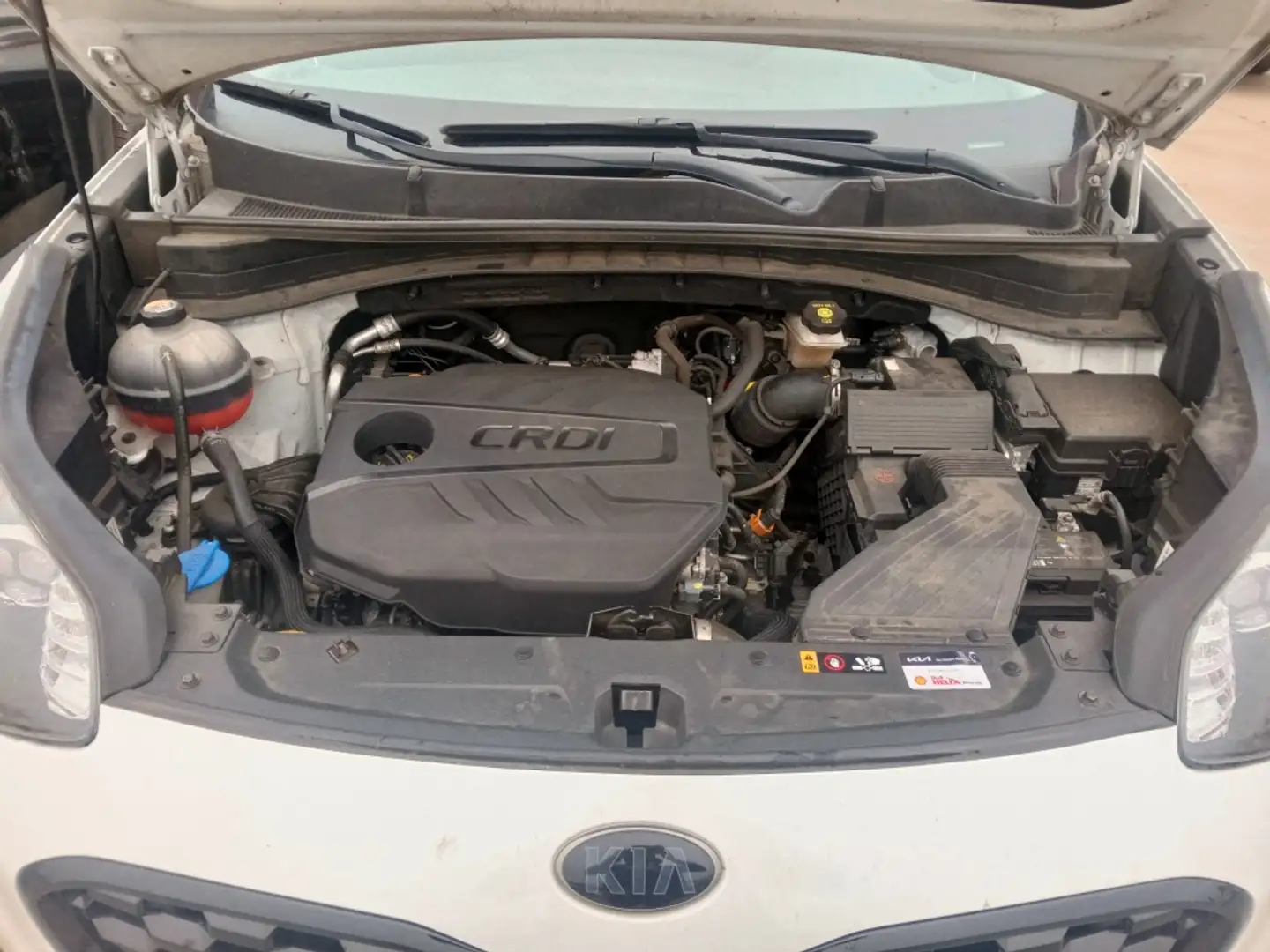 Kia Sportage 1.6 MHEV Black Edition 4x2 136 Blanc - 2