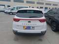 Kia Sportage 1.6 MHEV Black Edition 4x2 136 Blanc - thumbnail 14