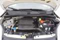 Fiat Panda Easy 1.2 Benzina 69CV Bianco - thumbnail 13