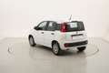 Fiat Panda Easy 1.2 Benzina 69CV Bianco - thumbnail 3