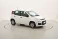 Fiat Panda Easy 1.2 Benzina 69CV Bianco - thumbnail 7