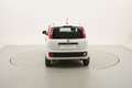 Fiat Panda Easy 1.2 Benzina 69CV Bianco - thumbnail 4