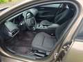 Jaguar XF Pure Brun - thumbnail 5