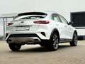 Kia XCeed DCT7 Vision  1.4 T-GDI, Navi, LED, Kamera, DAB Blanco - thumbnail 5