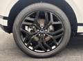 Land Rover Range Rover Evoque P300e R-Dynamic SE AWD Auto. 23.5MY Weiß - thumbnail 9