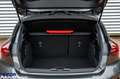 Ford Focus Focus 1.0 ecoboost h ST-Line Design 125cv Gris - thumbnail 8