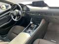 Mazda Sonstige 3/SKYACTIV-G122/COMFORT+/SOUND/TECH Blau - thumbnail 19
