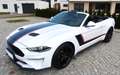 Ford Mustang Mustang 5,0 Ti-VCT V8 GT Cabrio GT- NEUWERTIG !! Weiß - thumbnail 23