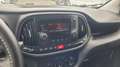 Fiat Doblo 1.6 MJT 105CV PC-TN SX Frigo FNAX Bianco - thumbnail 12
