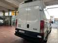 Iveco daily gemellato frigo euro6 Blanc - thumbnail 4