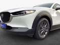 Mazda CX-30 e-SKYACTIV-G 2.0 M HYBRID SELECTION Weiß - thumbnail 6