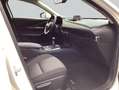 Mazda CX-30 e-SKYACTIV-G 2.0 M HYBRID SELECTION Weiß - thumbnail 12