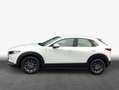 Mazda CX-30 e-SKYACTIV-G 2.0 M HYBRID SELECTION Weiß - thumbnail 4