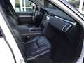 Land Rover Discovery 5 Landmark Edition SDV6~Pano.~7 Sitzer Weiß - thumbnail 10