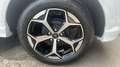 Ford Puma 1.0 EcoBoost Hybrid 125ch ST Line S\u0026S - thumbnail 19