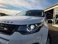 Land Rover Discovery Sport 2.0 TD4 AUT HSE Met 204.00km! Weiß - thumbnail 6