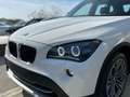 BMW X1 xdrive23dA Futura Bílá - thumbnail 15