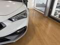 SEAT Leon 1.5 TSI S&S FR 150 Blanco - thumbnail 6