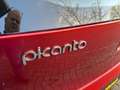 Kia Picanto 1.0 MPI DYNAMICLINE Oranje - thumbnail 30
