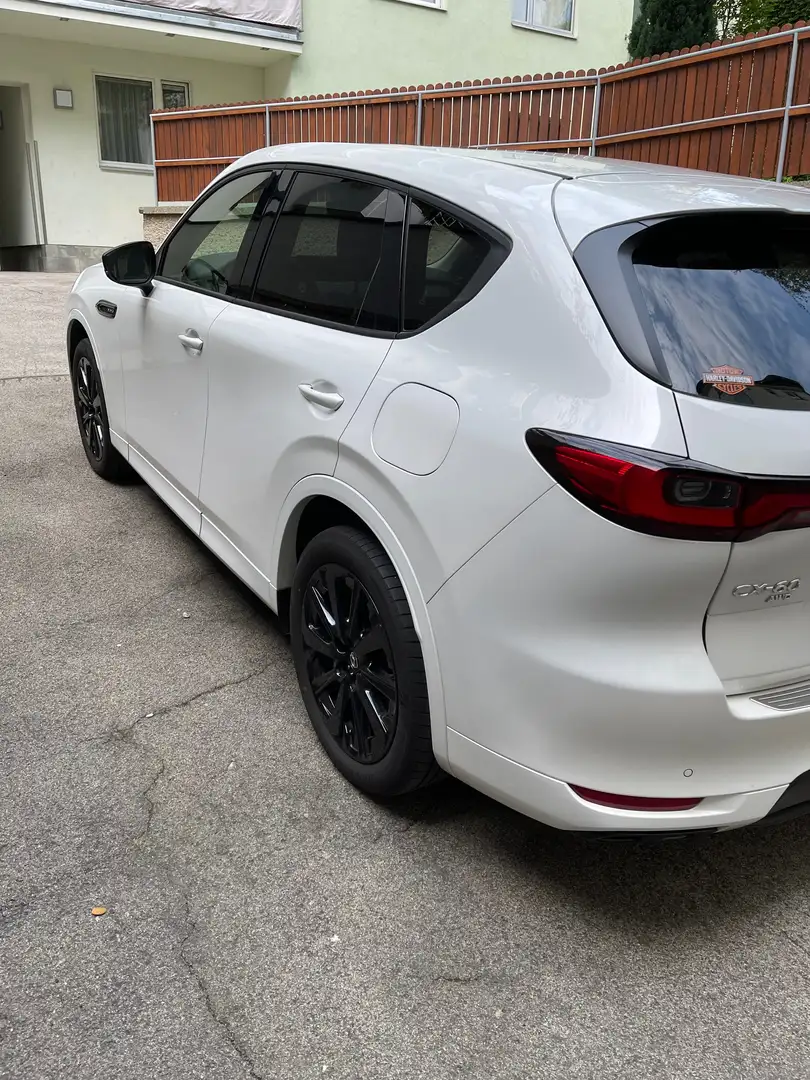 Mazda CX-60 CX-60 3.3L e-SKYACTIV D AWD HOMURA CON/DRI/PAN Aut. Homura CON/DRI/PAN Weiß - 2