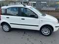Fiat Panda 1.2 4x4 Blanc - thumbnail 3