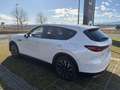 Mazda CX-60 CX-60 3.3L e-SKYACTIV D AWD EXC-LINE Aut. Exclusive-Line Weiß - thumbnail 4