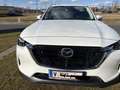 Mazda CX-60 CX-60 3.3L e-SKYACTIV D AWD EXC-LINE Aut. Exclusive-Line Weiß - thumbnail 1