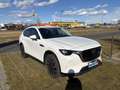 Mazda CX-60 CX-60 3.3L e-SKYACTIV D AWD EXC-LINE Aut. Exclusive-Line Weiß - thumbnail 2