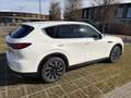 Mazda CX-60 CX-60 3.3L e-SKYACTIV D AWD EXC-LINE Aut. Exclusive-Line Weiß - thumbnail 10