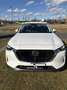 Mazda CX-60 CX-60 3.3L e-SKYACTIV D AWD EXC-LINE Aut. Exclusive-Line Weiß - thumbnail 19